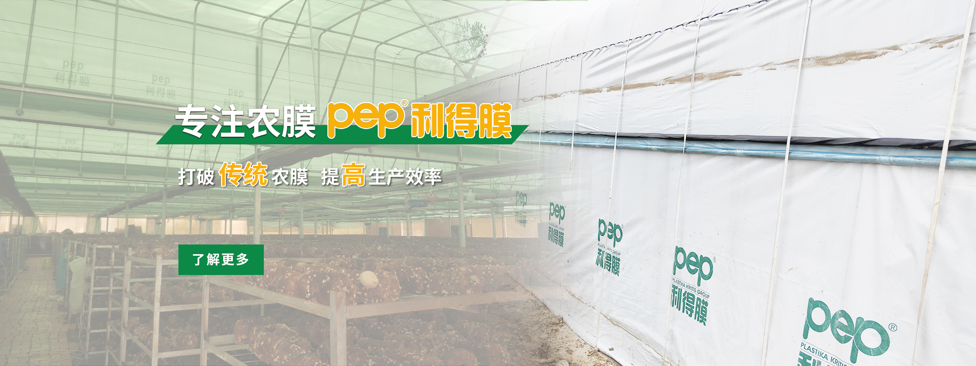 綠白膜、pep利得膜